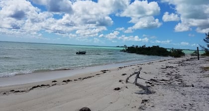 Quiet Island Cottage-fishing/shelling/beaching/2 kayaks included