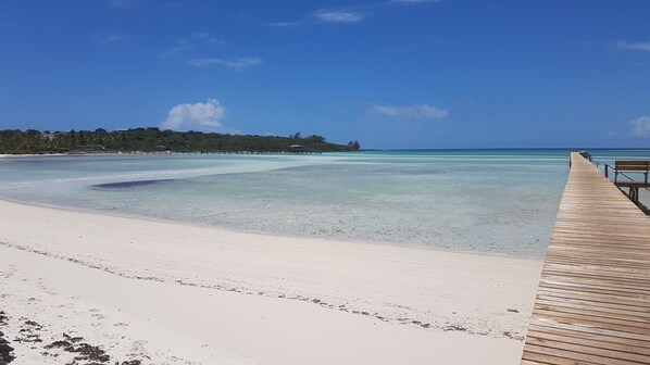 Camastros y toallas de playa 