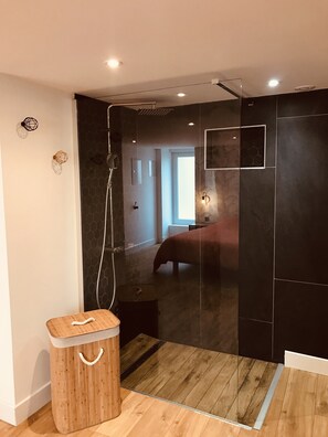 Shower, hair dryer, towels, toilet paper - Le Salon de l'Isle (Carentan les Marais)