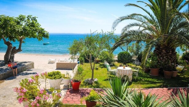 Un patio con mobiliario exterior, una palmera y vistas al mar.