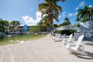 A beach with white lounge chairs, a palm tree, and a building in the background.