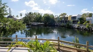 A serene outdoor area with a pond, surrounded by lush greenery and modern buildings.