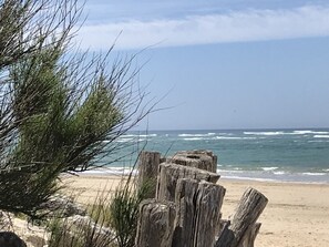 Plage à proximité