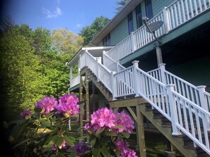 Property grounds - Bear Creek-Mountain views, decks that surround, and 3 creeks to discover! (Rabun Gap)