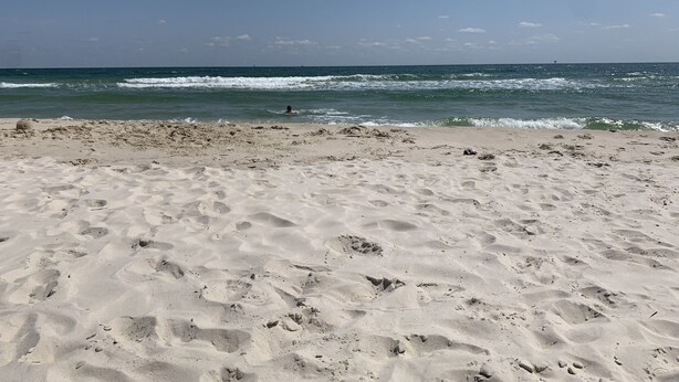 Una playa arenosa con huellas y una persona nadando en el agua.