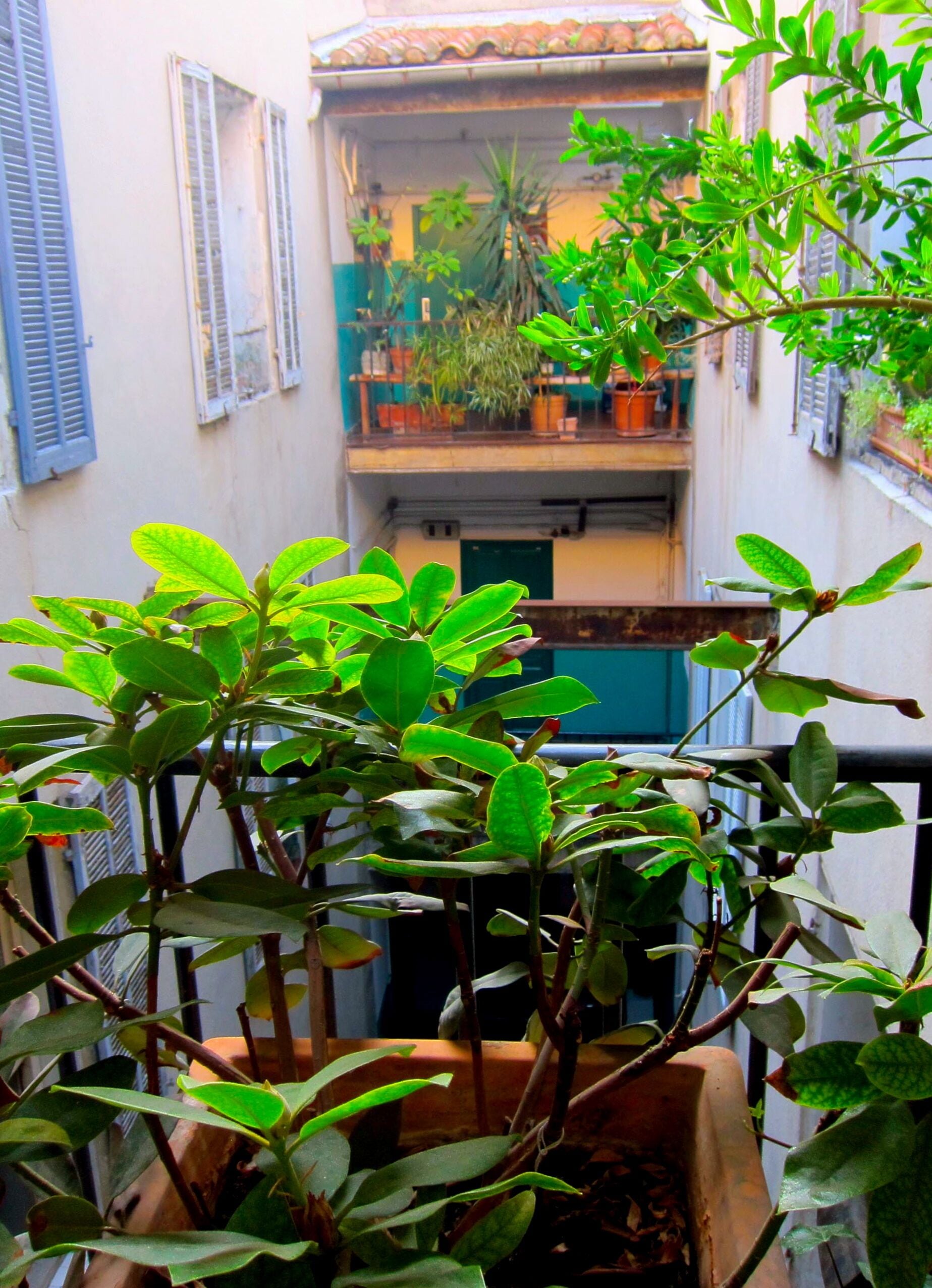 Een balkon met bloempotten, een hekwerk en uitzicht op een gebouw met een pannendak en luiken.