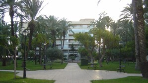 A paved pathway leading to a building with a modern design, surrounded by palm trees and benches. - Apartment in Eliteresidenz El Palmeral in Torrevieja (Torrevieja)