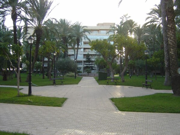 A paved pathway leading to a building with a modern design, surrounded by palm trees and benches.