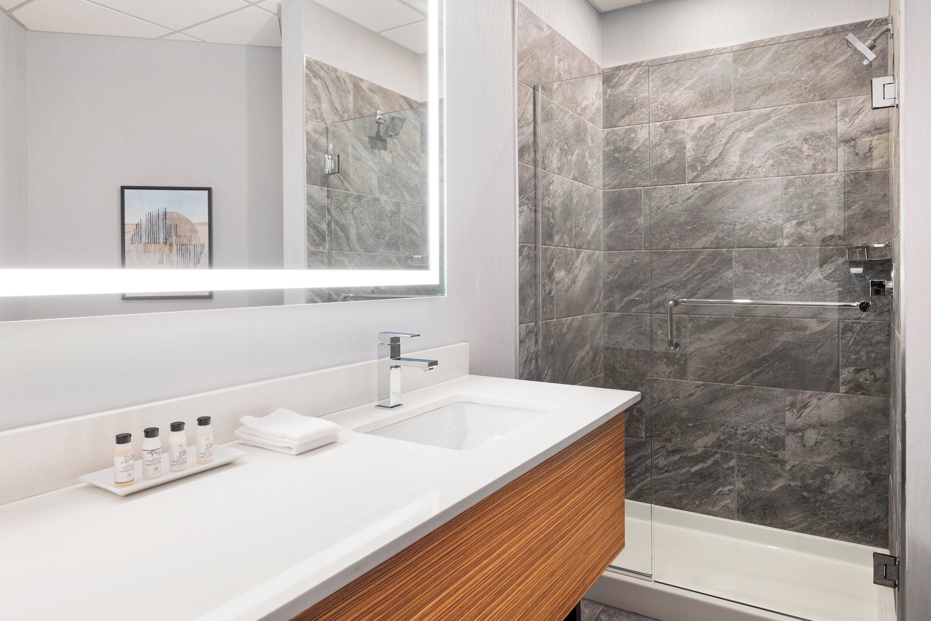 standard room, 1 king bed | bathroom | shower, rainfall showerhead, eco-friendly toiletries, hair dryer