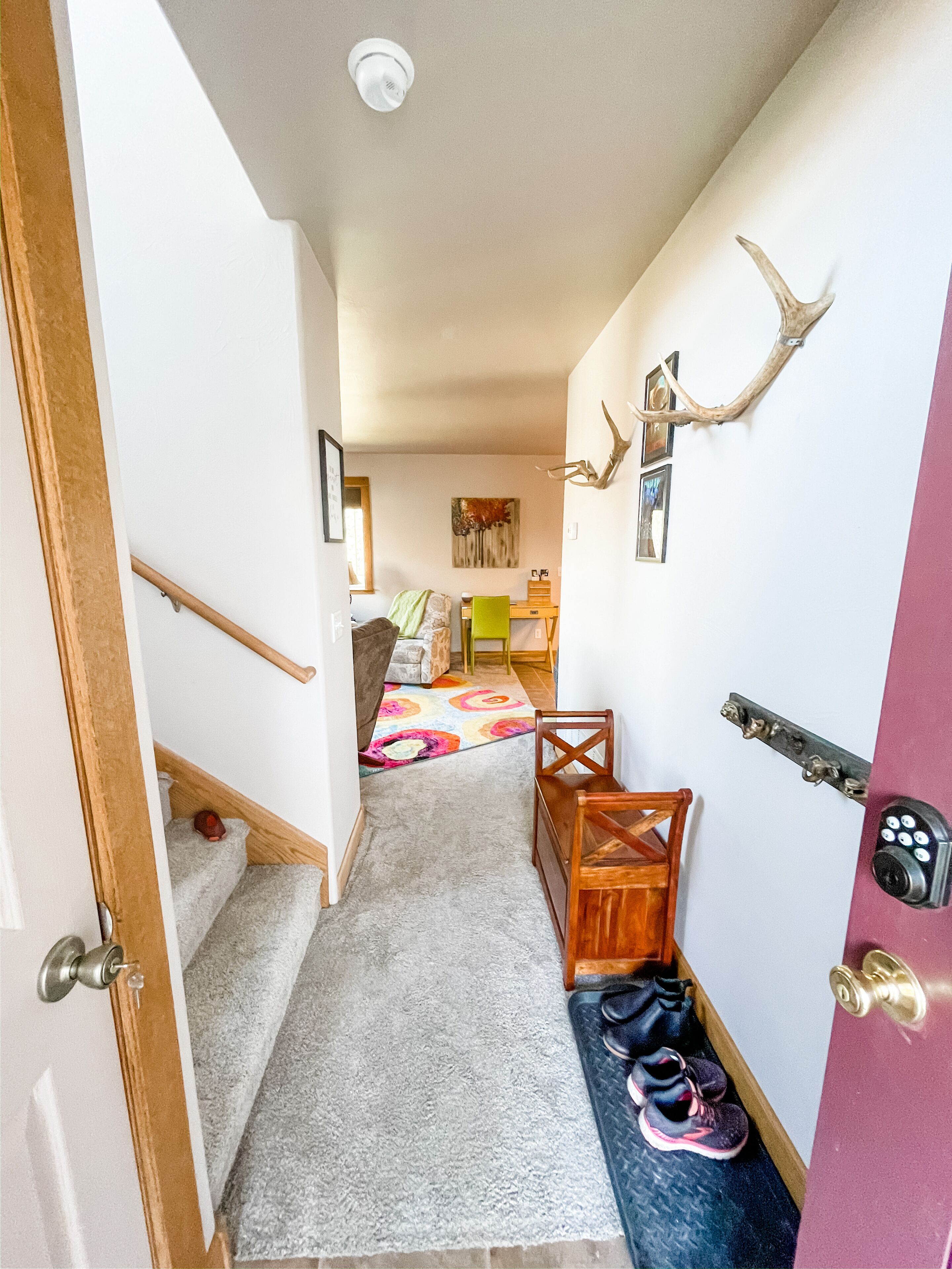 A Glimpse of the Paradise 