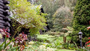 Un jardín con una cabaña de madera, abundante vegetación y un sendero de piedra.