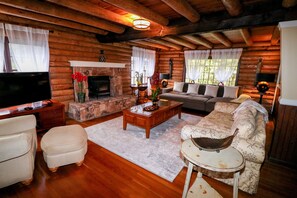 TV connectée, cheminée, livres