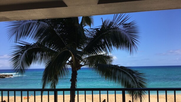 Blick auf einen Strand mit einer Palme, einem Tisch und Stühlen.