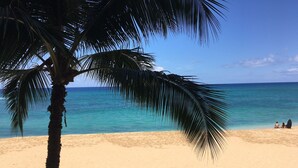 Ein Strand mit klarem türkisblauem Wasser und einer Palme.