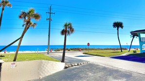 A beachfront road with palm trees, a stop sign, and a beach in the background.