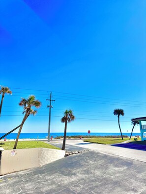 A beachfront road with palm trees, a stop sign, and a beach in the background. - Oceanview Across From The Beach (Ormond by the sea)