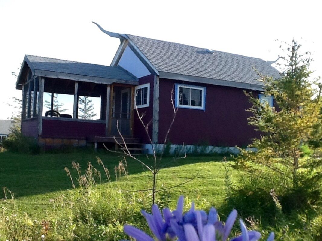 Rustic cabin near RMNP with screened-in deck, forest and meadow views