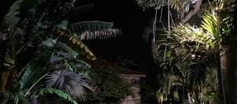 Brackish Villa - Entire Home for the Whole Fam