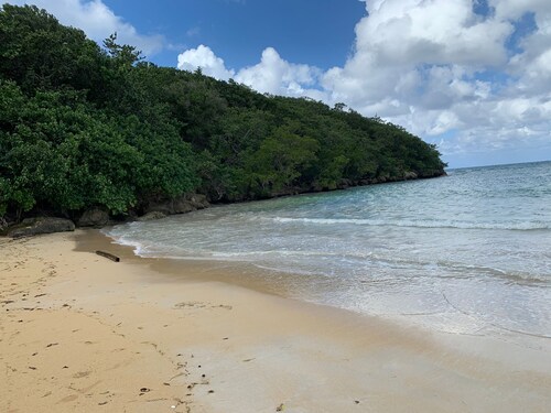 Brackish Villa - Entire Home for the Whole Fam