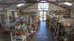 A spacious, well-lit shop with various items on shelves and tables, including books, bottles, and other goods. - 1 Bed Shepherds Hut - Sleeps 2 -Wood Fired Hot Tub (Charlton musgrove)