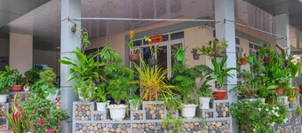 Thanh Binh Hotel Con Dao