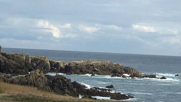Beach nearby, sun loungers