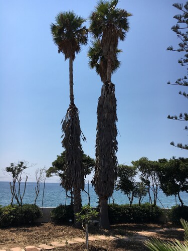 Casa D'aria Beach House