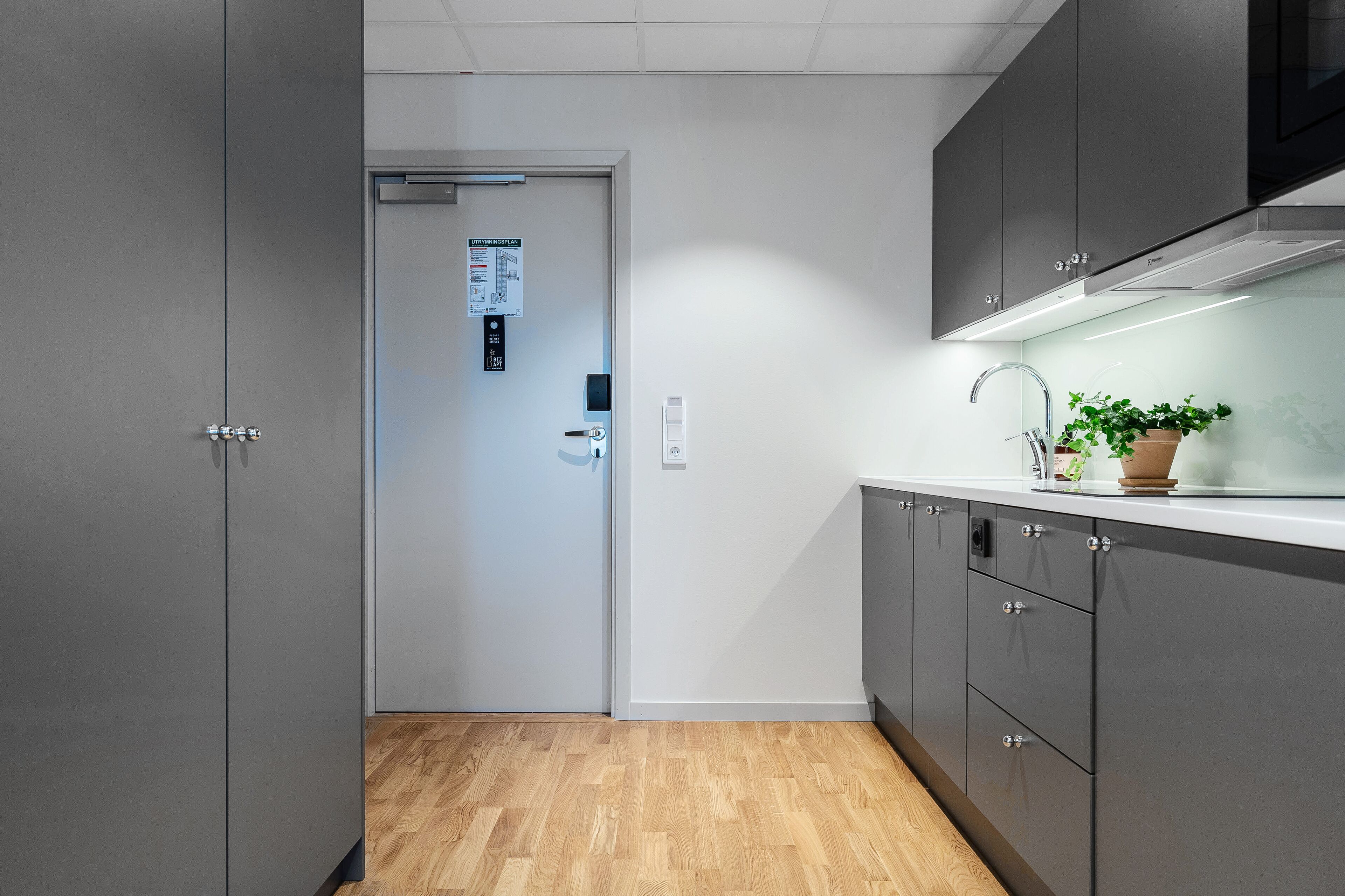 A modern kitchen with grey cabinets, a wooden floor, and a potted plant on the counter.