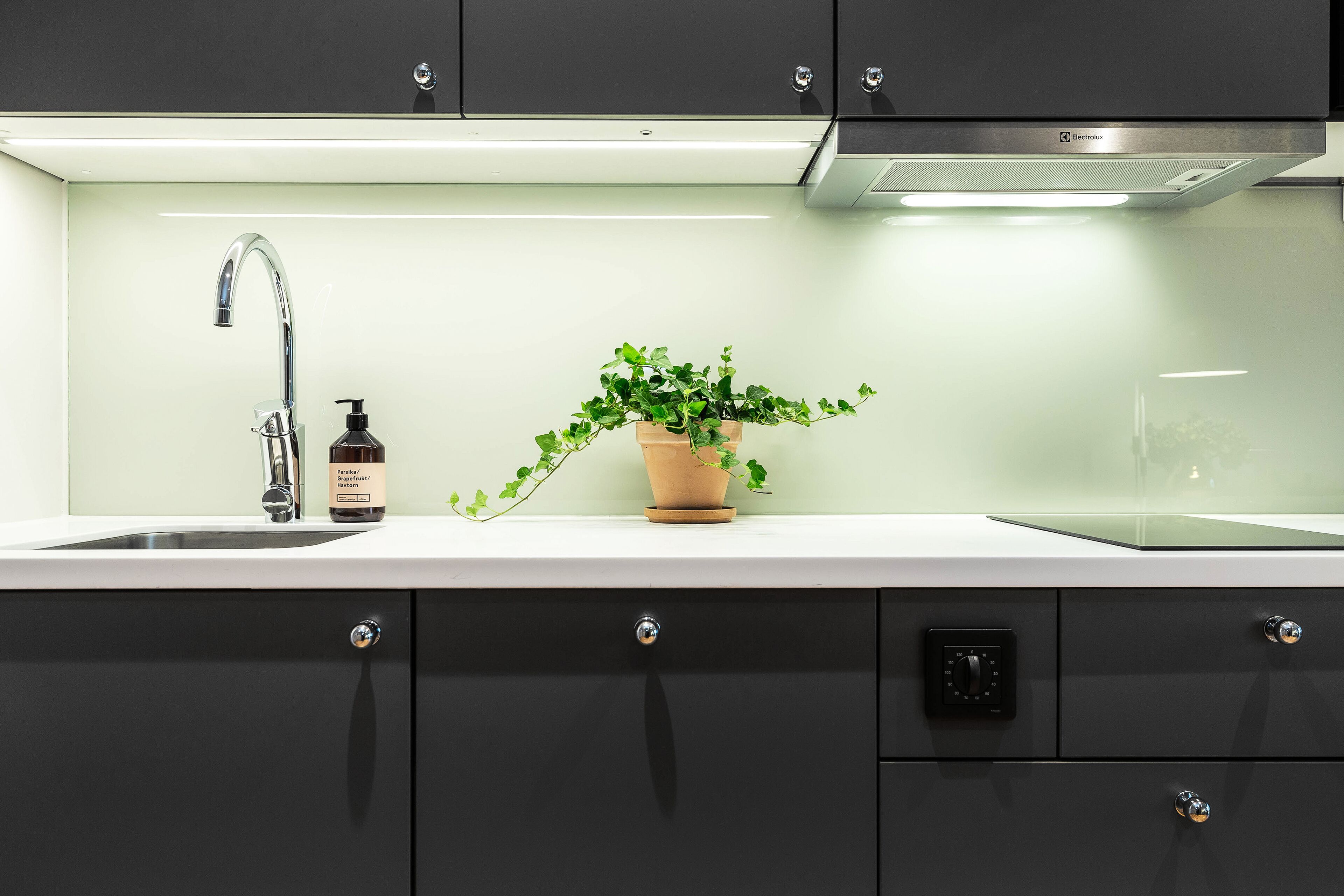 Una cocina moderna con un lavamanos de acero inoxidable, una planta en maceta y una botella de jabón para manos.
