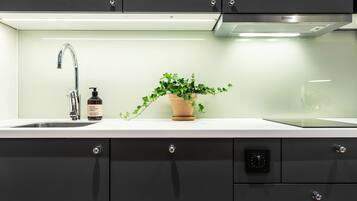 Una cocina moderna con un lavamanos de acero inoxidable, una planta en maceta y una botella de jabón para manos.