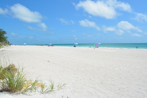 Playa en los alrededores y sombrillas 