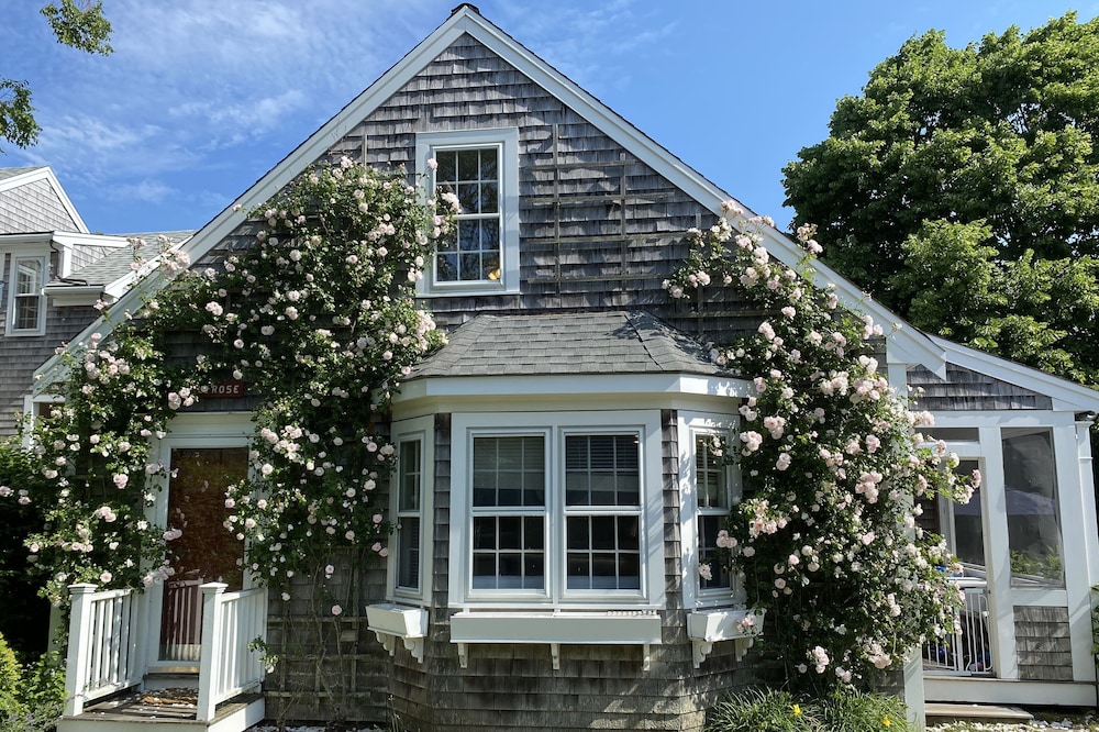 Pet friendly cottage in town on quiet paved street- AC, Wifi, Laundry, Parking