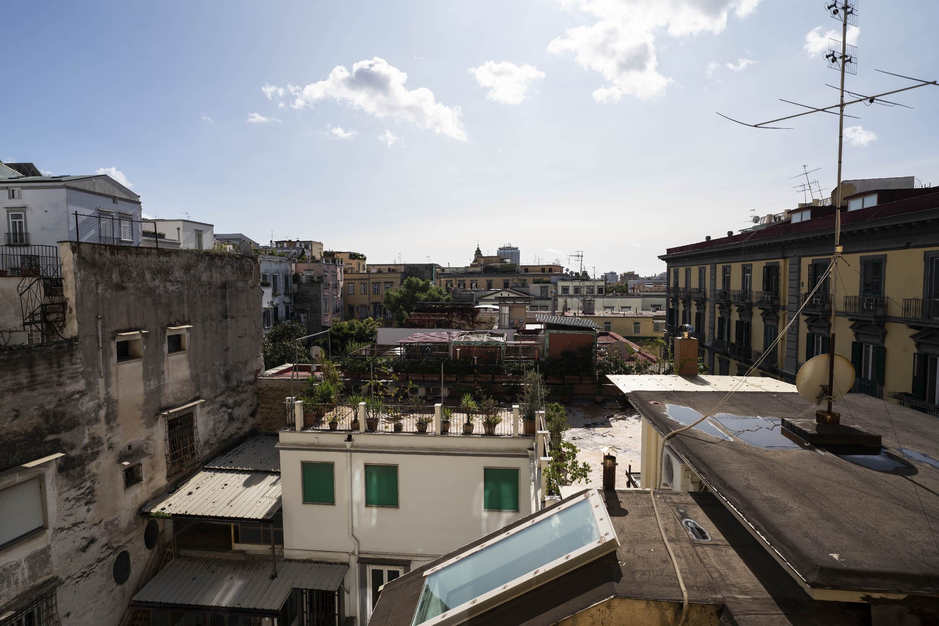 Photo - Ciao Bellini