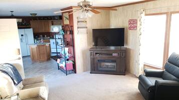 Smart TV, fireplace, DVD player, books