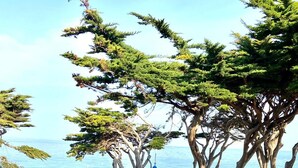 A view of a coastal area with trees and a clear blue sky. - SEAFRONT APARTMENT VAL ANDRE ALL INCLUSIVE FOR 5 PEOPLE (Pléneuf-Val-André)