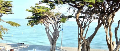 A view of a coastal area with trees and a clear blue sky.