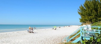 A Perfect Place: Newly Remodeled Ground Level with Pool!