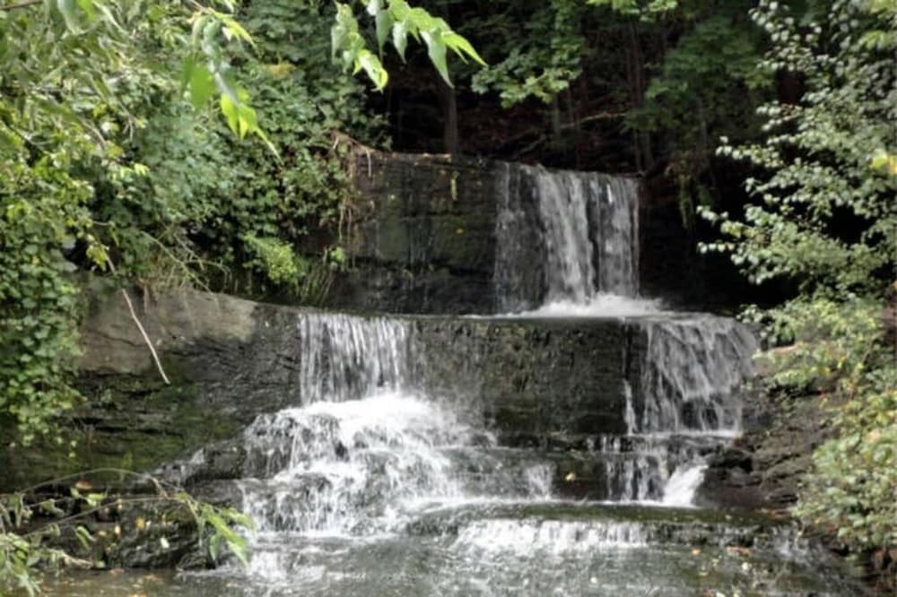 Backyard Waterfall and Cayuga Lake Views!