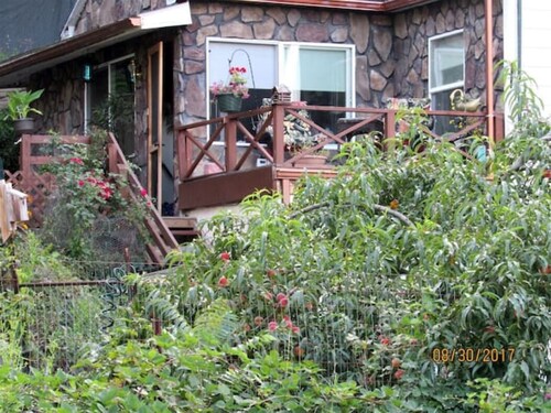 Rustic, Cozy Cottage with Backyard Waterfall and Cayuga Lake Views!