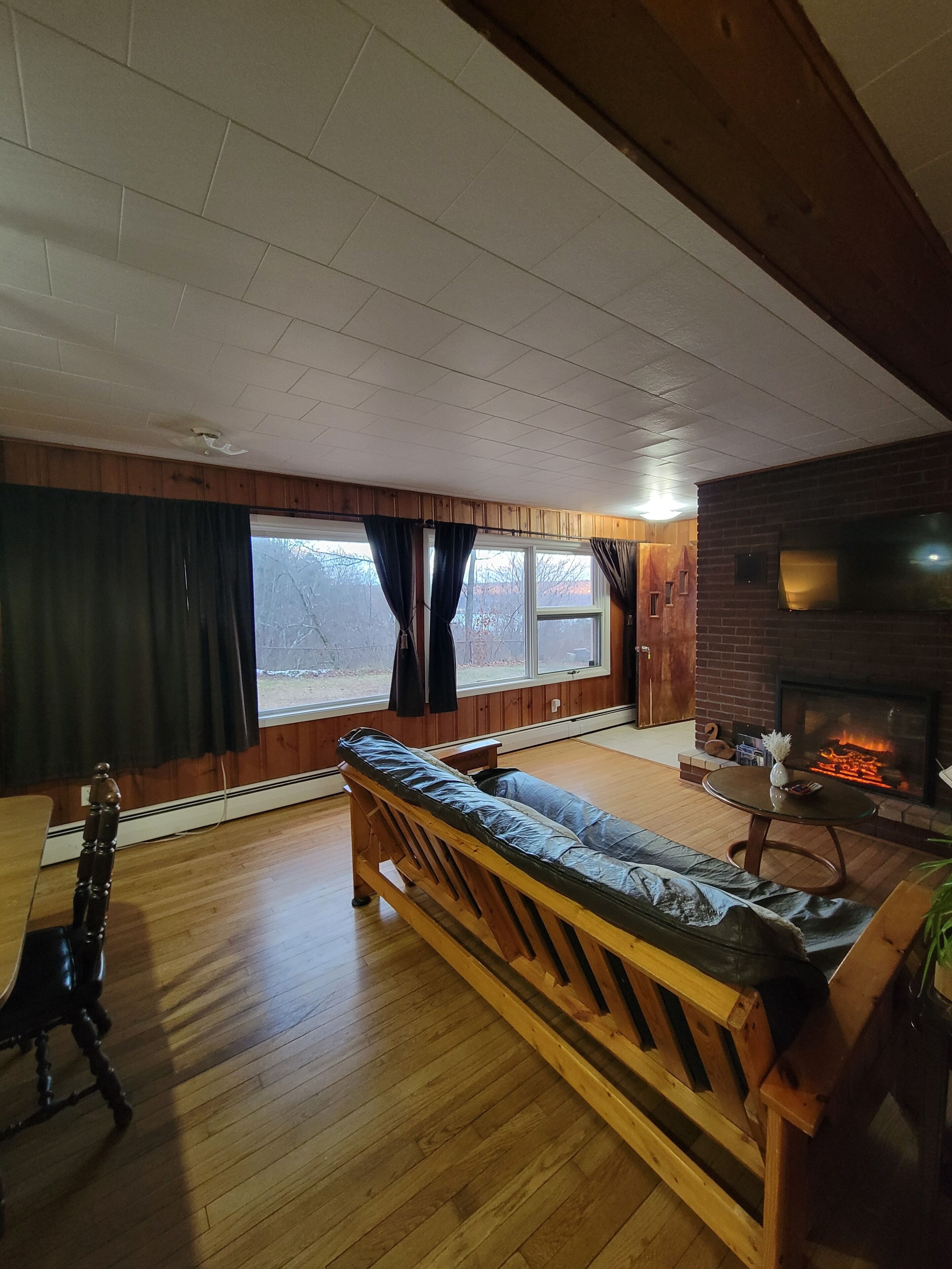 Smart TV, fireplace, books