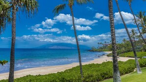 A beach with palm trees and a clear blue sky. - Fabulous Ocean Views, Steps From Polo Beach, Luxury 2 Bed 2 Bath (Kihei)