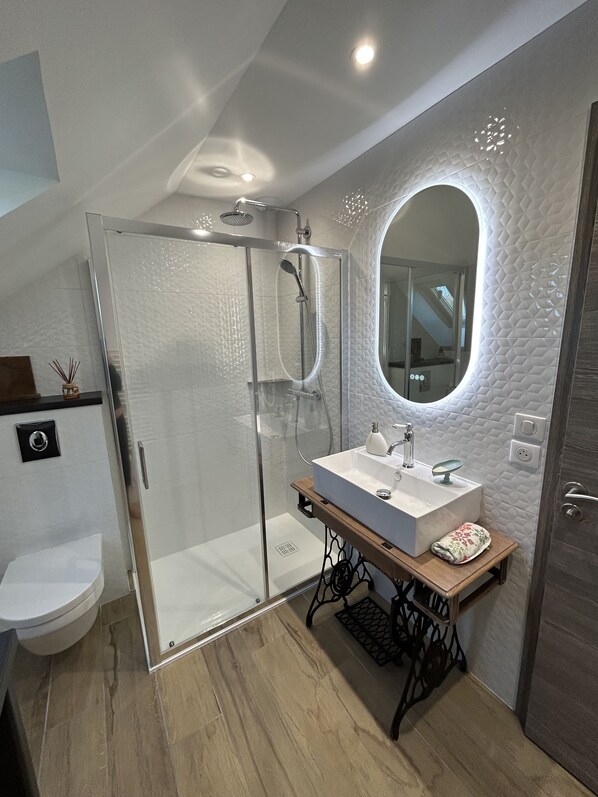 Shower, hair dryer, towels, soap - Le Cosy Home 3*** Apartment in house near Annecy (La Balme-de-Sillingy)
