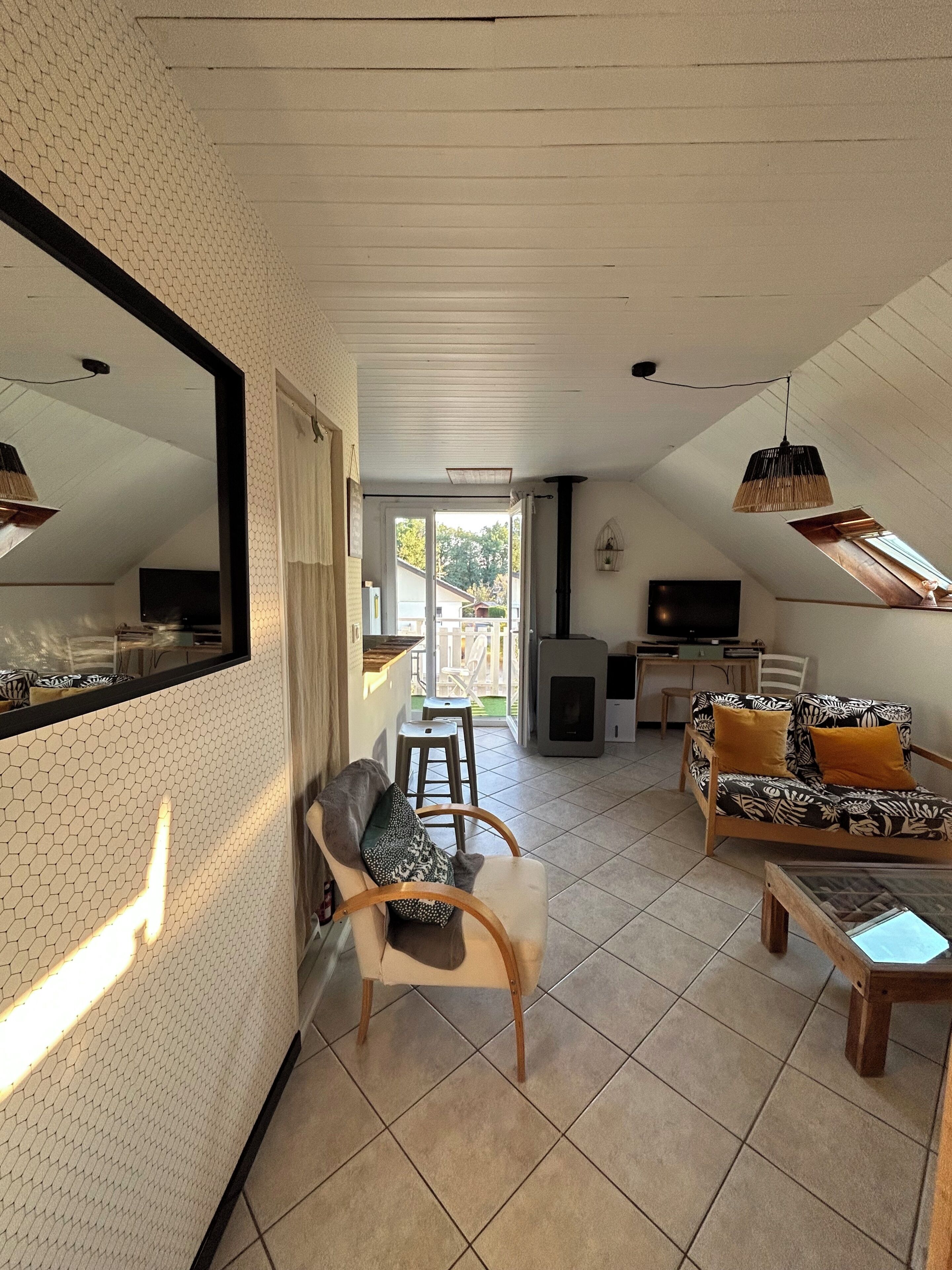 TV connectée, cheminée, livres