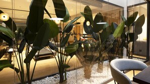 A modern interior with large green plants, a seating area, and a visible shoe display. - Goodnight Cádiz Apartments (Cádiz)