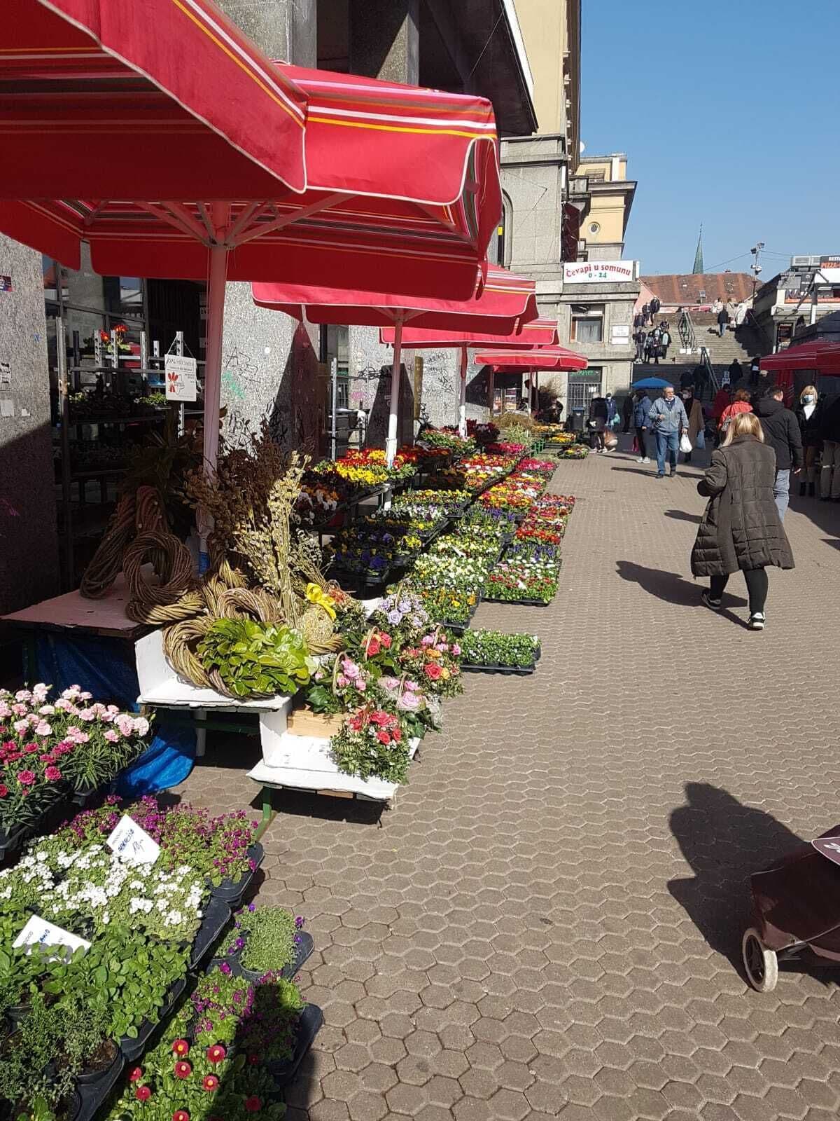 A flower market with red umbrellas and various plants and flowers on display.