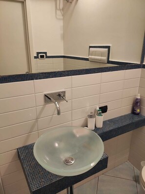 Shower, hair dryer, bidet, towels