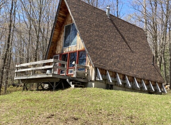 Exterior - Rustic Cabin Minutes From Okemo - Views of Lake Ninevah, Nestled In Mt. Holly (Mount Holly)