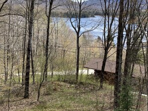Property grounds - Rustic Cabin Minutes From Okemo - Views of Lake Ninevah, Nestled In Mt. Holly (Mount Holly)