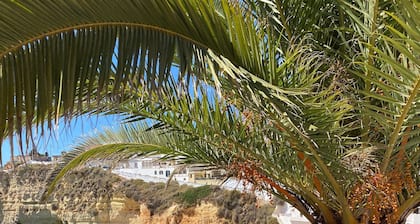🔆Casa Skye 🔆
Charming 1BR Apartment Close to Town and Beaches