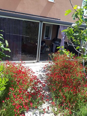 Property grounds - Mariner - Summer garden delight (Stobrec)